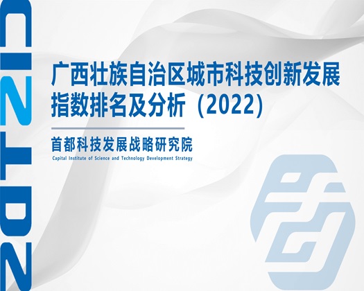 操爆逼视频【成果发布】广西壮族自治区城市科技创新发展指数排名及分析（2022）